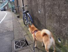 开云体育下载-杜兰特死神降临，热火末节逆转掀翻深圳！