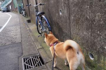 开云体育下载-杜兰特死神降临，热火末节逆转掀翻深圳！