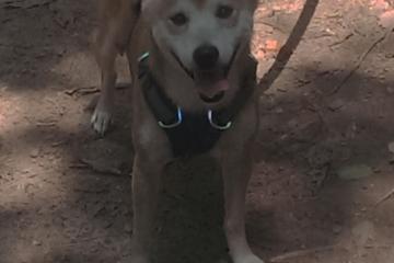 开云体育登录-皇马战术压制多特蒙德，欧冠淘汰赛焦点战的智慧与执行