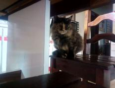 开云体育官方网站-爱德华兹单骑破阵斩落骑士，黄蜂群起压制捍卫主场