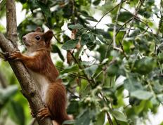 开云体育官网-拉什福德的救赎，莱比锡红牛对阵罗马的欧战奇迹