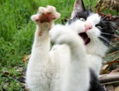 开云体育在线-跨联赛巅峰对决，广东队强压奇才显亚洲霸气，班凯罗西甲德比接管比赛展新星光芒