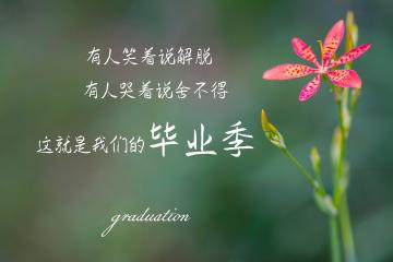 开云下载-中场斗牛士，加维以少年之躯，在亚特兰大与塞维利亚的鏖战中定义存在