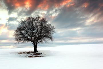 开云体育下载-布伦森闪耀大舞台，山西队力克浙江提前锁定胜局
