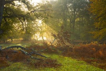 开云体育-竞速与逆袭，F1年度争冠焦点战与步行者掀翻深圳队的双重奏