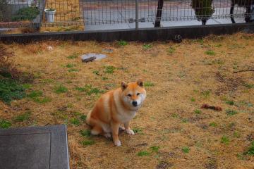 开云体育登录-蓝白幕后的幽灵，当坎特在阿根廷对阵韩国的战役中完全展现