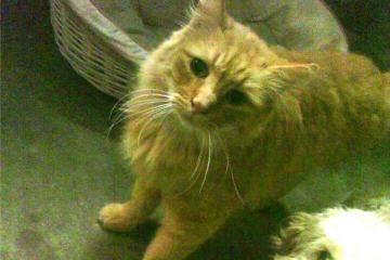 开云体育APP下载-独步天下！巴尔韦德爆发引领乌拉圭打穿奥地利钢铁防线