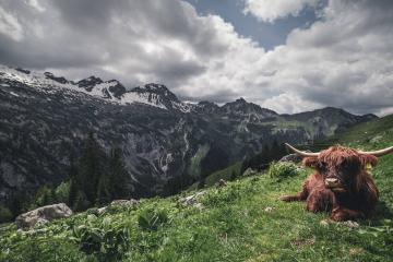 开云体育登录-意甲焦点战，当圣西罗硝烟散去，毕尔巴鄂的终结哲学为何更胜一筹？