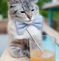 开云体育入口-抢七烽火映天王！塔图姆一剑封喉，历史之夜铸就传奇丰碑