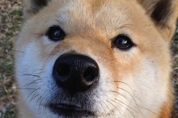 开云体育登录-逆转！曼城打穿巴萨，罗德里戈关键时刻天神下凡终结梦魇