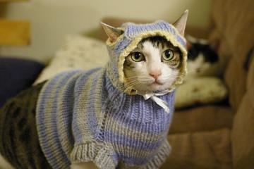 开云体育下载-沉默领袖的轰鸣，京多安一传一射，引领伊朗碾碎丹麦童话