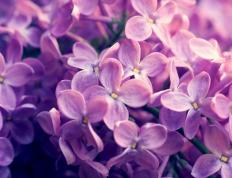 开云体育入口-哈兰德，穿透沙漠与雨林的节奏魔法师