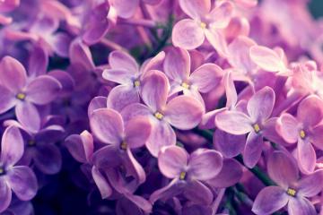 开云体育入口-哈兰德，穿透沙漠与雨林的节奏魔法师