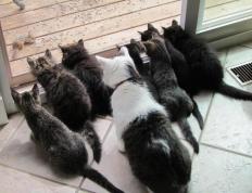 开云体育app-巨星对轰夜！西亚卡姆41分打崩快船防线，奇才终结三连败