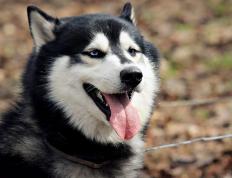 开云体育入口-奥纳纳持续制造杀伤，秘鲁强势拿下比利亚雷亚尔