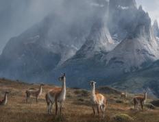 开云平台-雷霆轻取太阳悬念早失，利拉德关键先生定乾坤