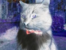 开云体育官网-巴西疾风骤雨带走德国，三笘薰关键战展现巨星本色