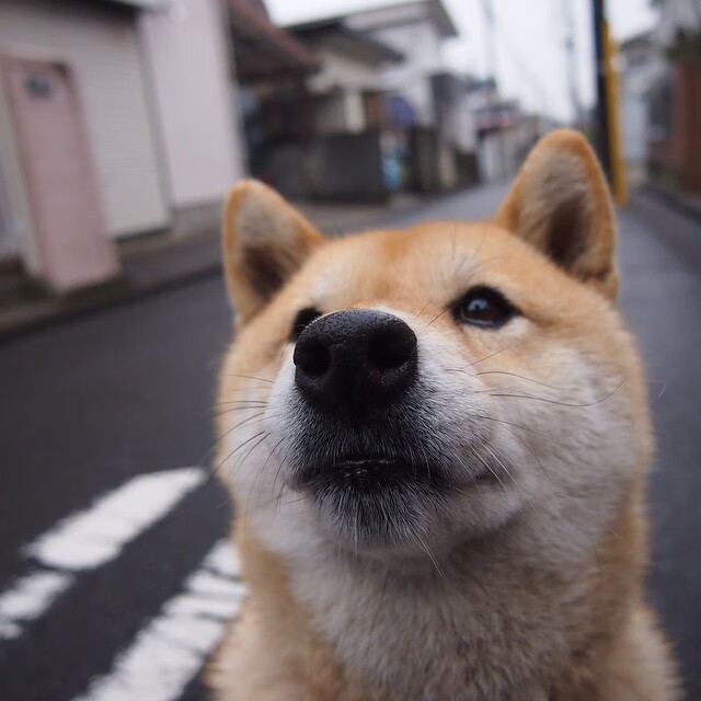 开云体育APP下载-孔德终场三分绝杀拜仁？跨次元转播事故与体育的终极想象