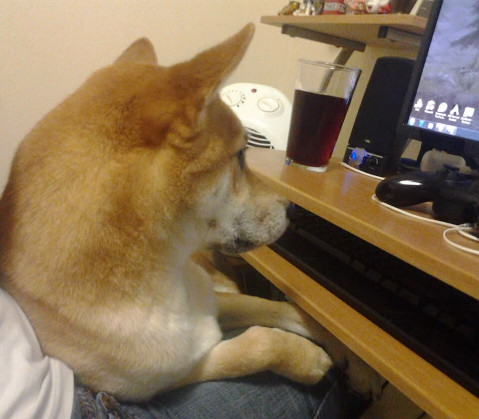 开云体育平台APP-伦纳德轰35+8制胜，山西爆冷击退卫冕冠军