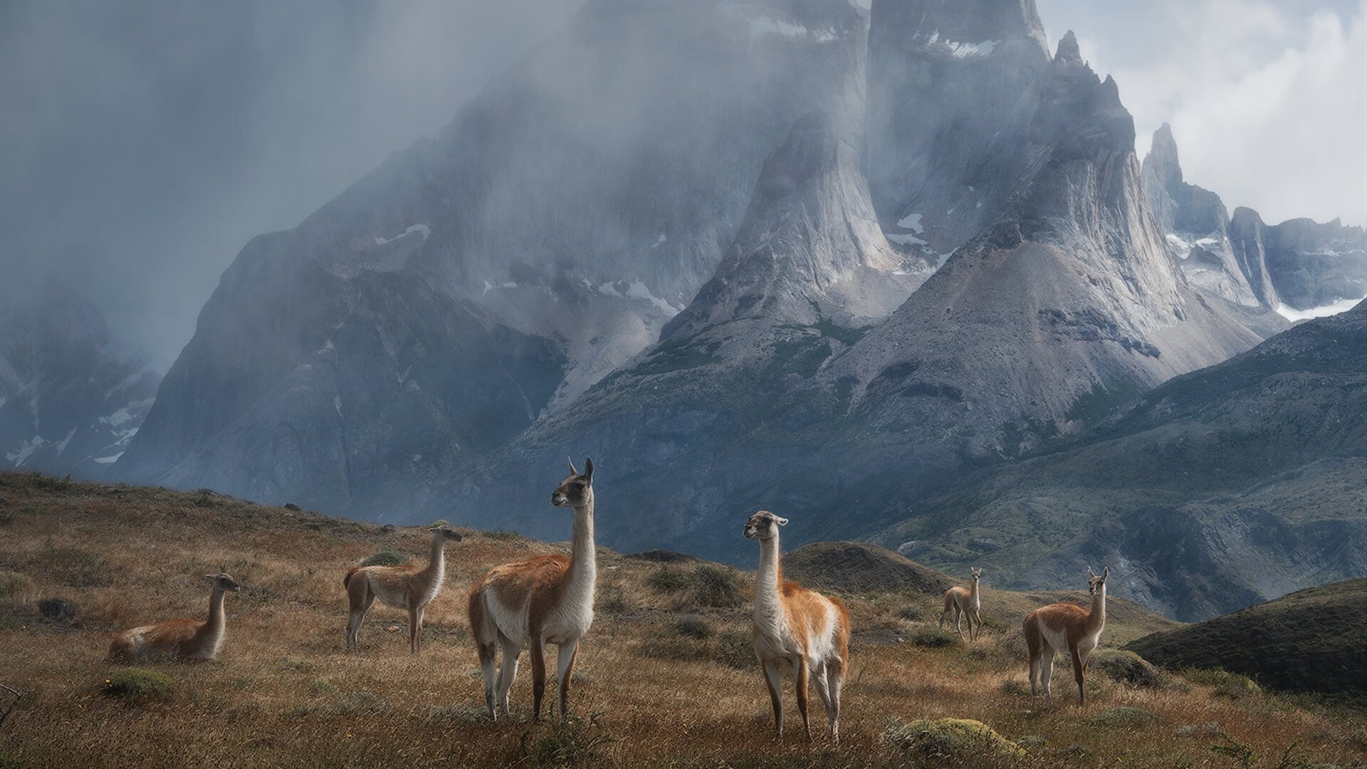 开云平台-雷霆轻取太阳悬念早失，利拉德关键先生定乾坤