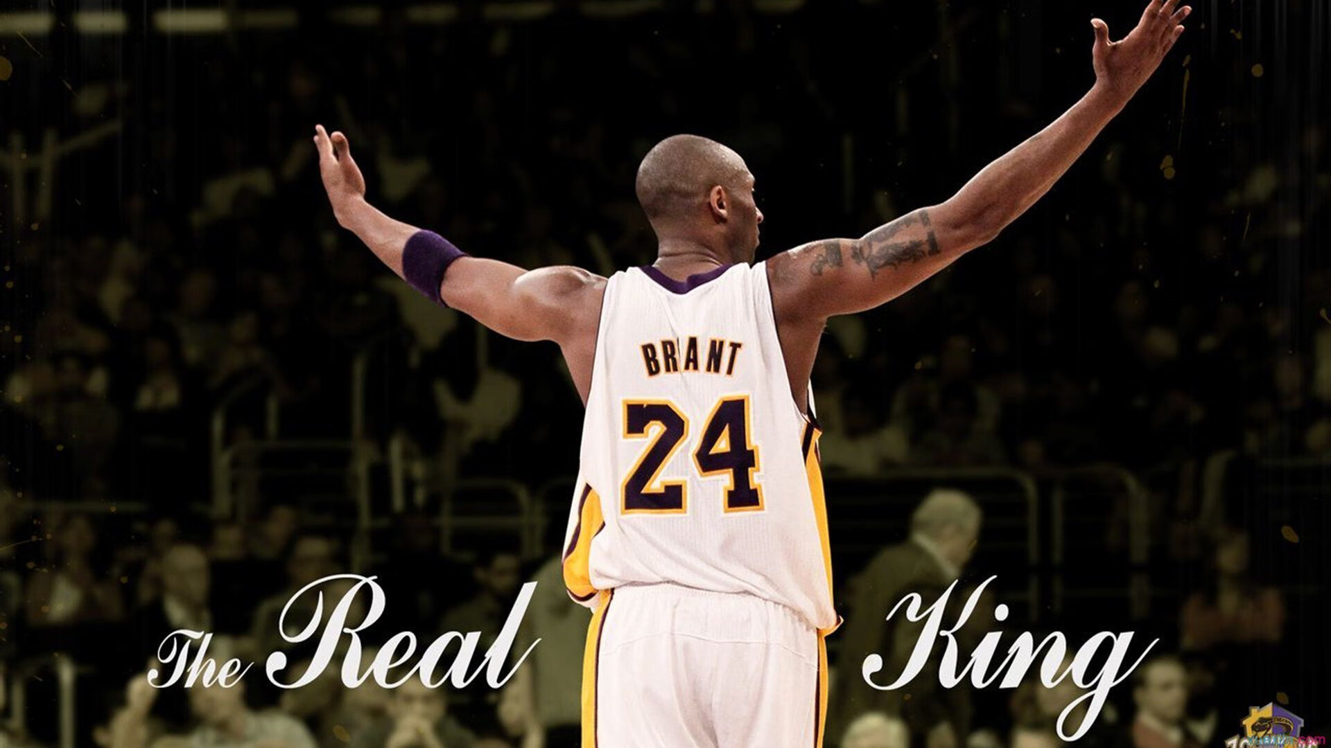 开云体育在线-广厦闪电战击溃老鹰，东决焦点战上演跨界狂想