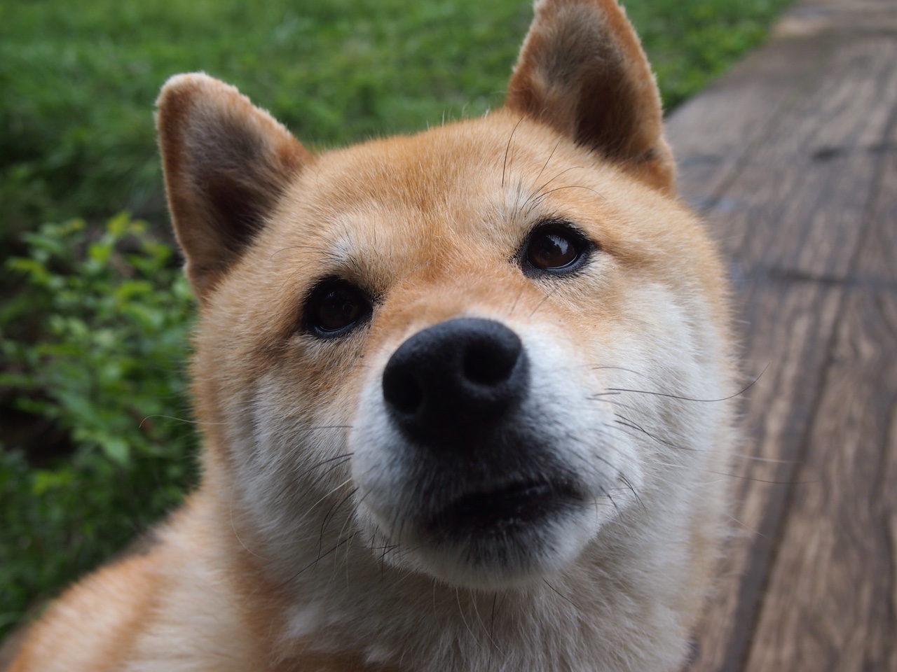 开云体育官网-边境线之争，当政治哨声遇上绝杀弧线