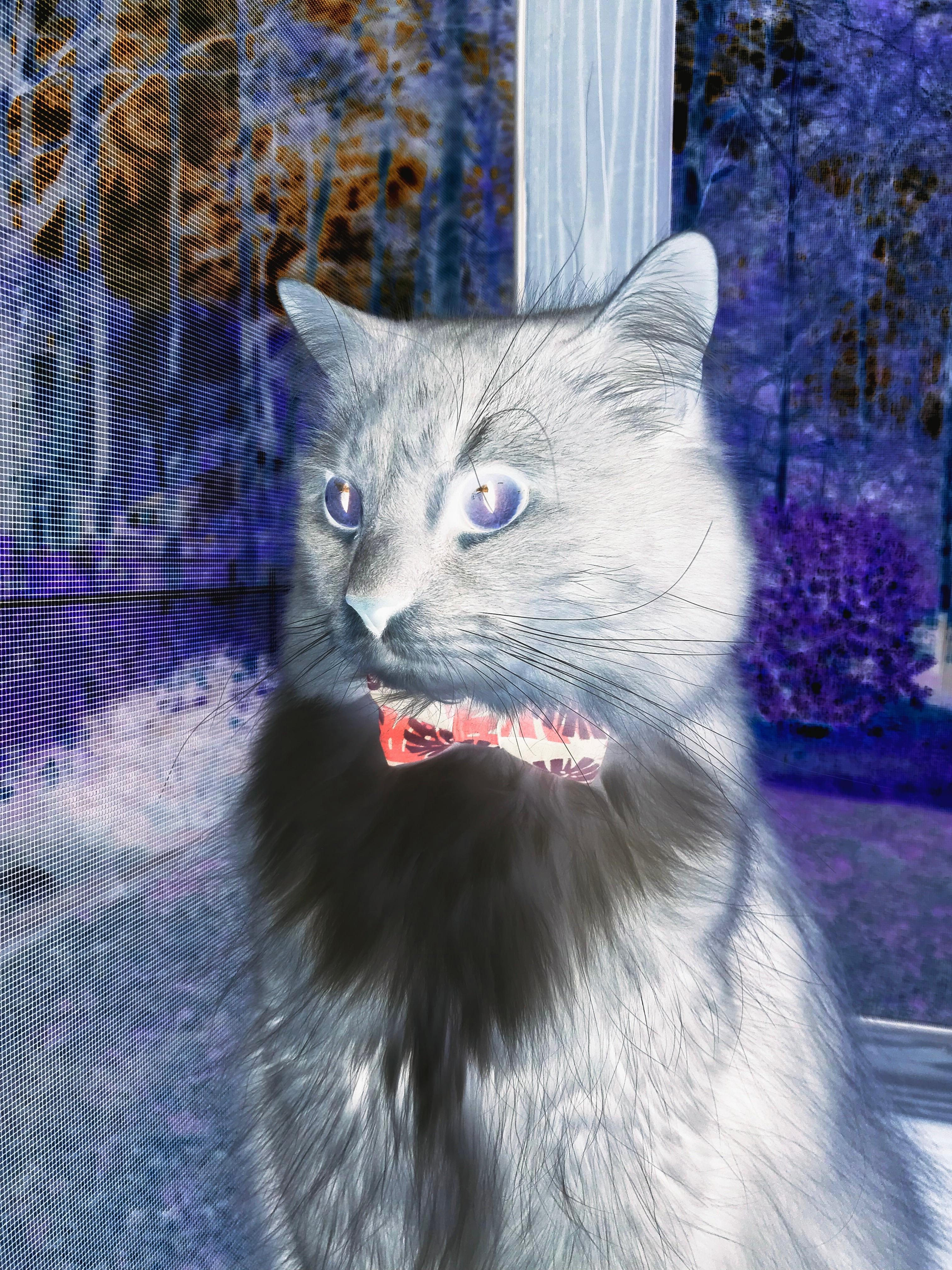 开云体育官网-巴西疾风骤雨带走德国，三笘薰关键战展现巨星本色