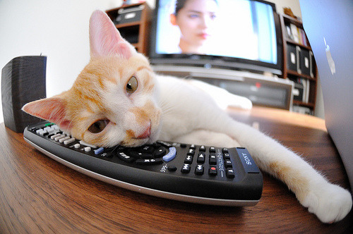 开云平台-赛前踌躇满志的巴黎，被福登的光芒击碎，曼城神童用两粒进球宣告新时代降临