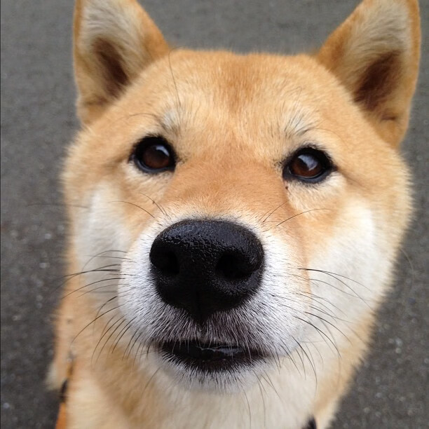 开云官网-非洲之光闪耀NBA季后赛,摩洛哥悍将压哨绝杀加纳群星