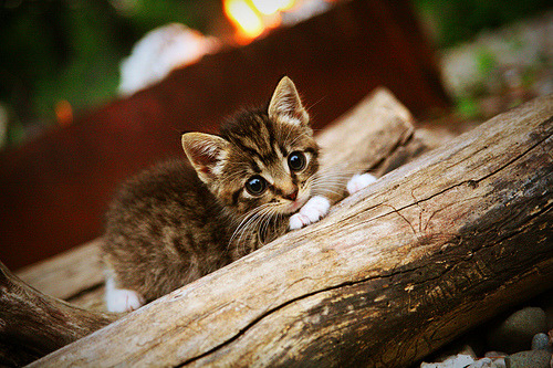 开云平台-压力下的双重辉煌，德布劳内逆境爆发，安哥拉击溃哥伦比亚创奇迹
