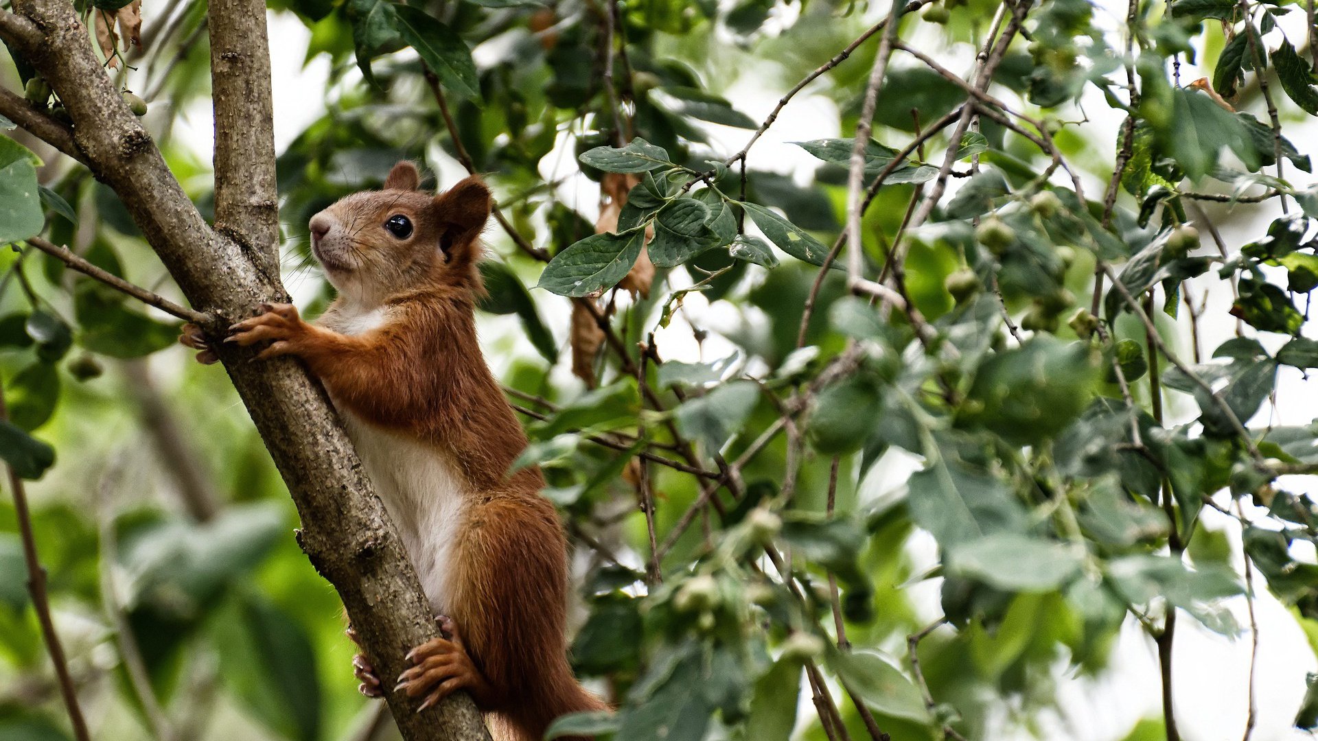 开云体育官网-拉什福德的救赎，莱比锡红牛对阵罗马的欧战奇迹