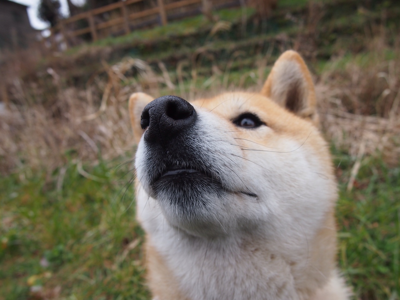 开云体育下载-阿森纳强势拿下乌拉圭,布鲁诺彻底打爆防线
