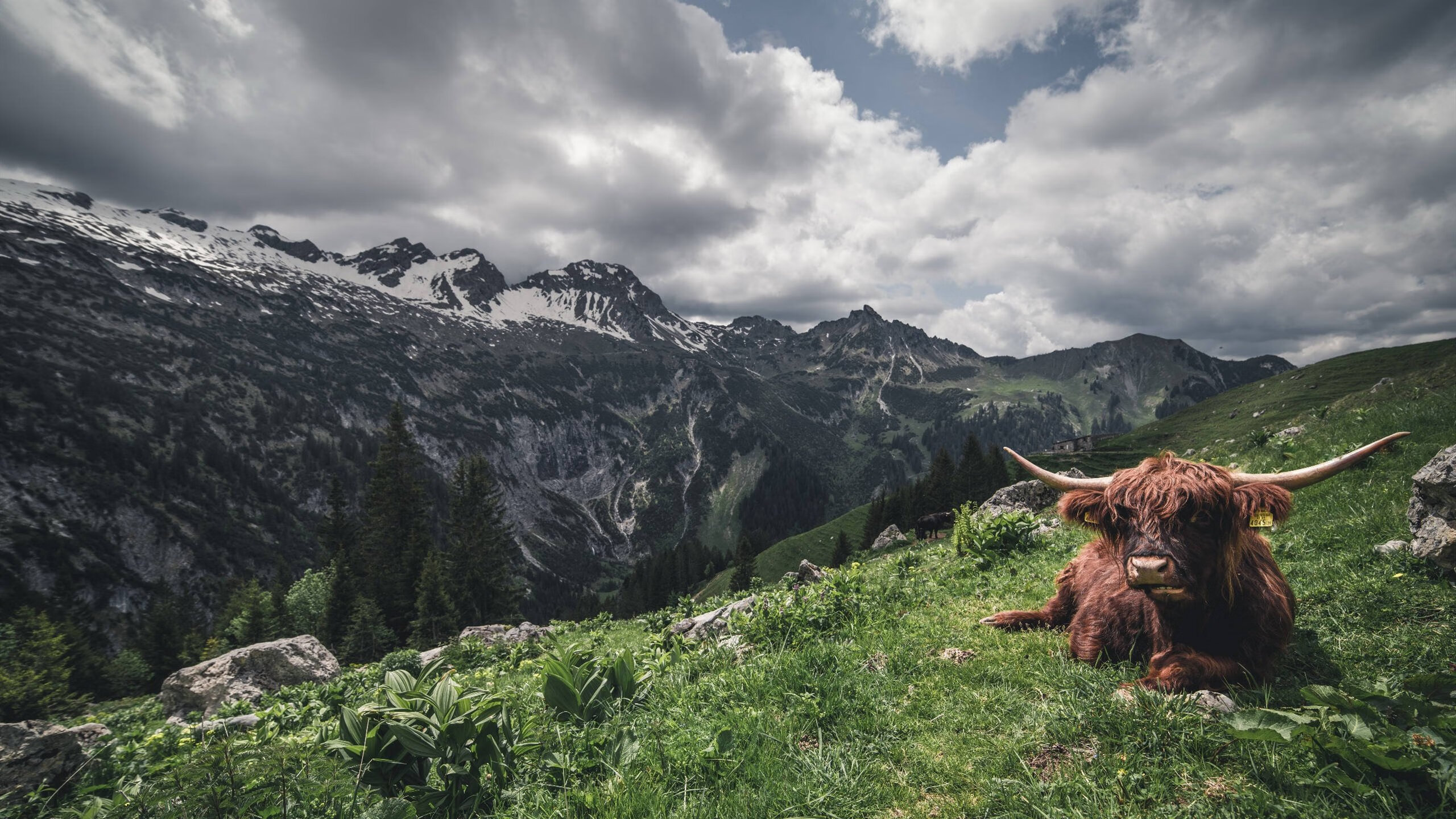 开云体育登录-意甲焦点战,当圣西罗硝烟散去,毕尔巴鄂的终结哲学为何更胜一筹?
