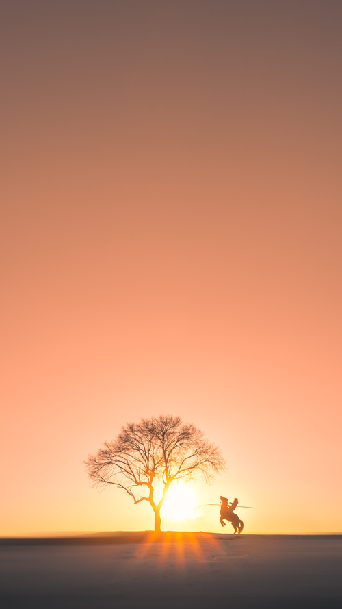 开云体育-防守转进攻！戈贝尔核心力量助公牛末节翻盘黄蜂