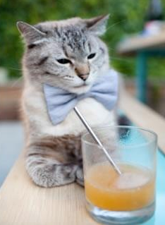 开云体育入口-抢七烽火映天王!塔图姆一剑封喉,历史之夜铸就传奇丰碑