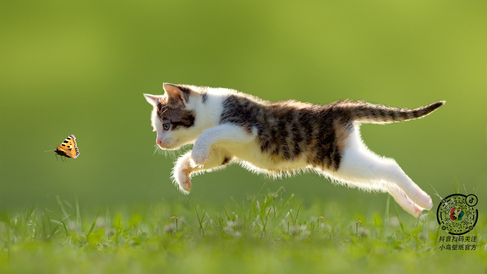 开云体育APP下载-奥斯梅恩星光引爆欧冠夜，巴黎力克利物浦占得争冠先机