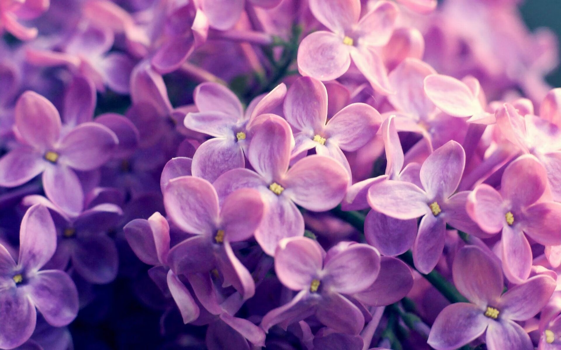 开云体育入口-哈兰德，穿透沙漠与雨林的节奏魔法师